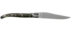 Laguiole En Aubrac 12cm L'Organique L0212B1I/FSI1, Couteau Laguiole -Kai Soldes Boutique AUL0212B1I FSI1 02 laguiole en aubrac