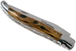 Laguiole En Aubrac 12cm Double Plates, Cactus Poncé Main, L0712CA51-FSI1 -Kai Soldes Boutique AUL0712CA51 FSI1 04 laguiole en aubrac v202010