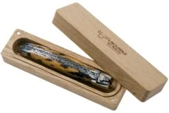 Laguiole En Aubrac 12cm Double Plates, Cactus Poncé Main, L0712CA51-FSI1 -Kai Soldes Boutique AUL0712CA51 FSI1 08 laguiole en aubrac v202010