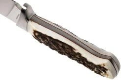 Böker Arbolito Hunter 02BA351H Couteau De Chasse -Kai Soldes Boutique BO02BA351H 04 boker bo02ba351h 04