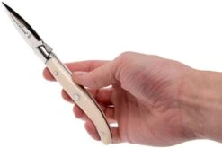 Claude Dozorme Laguiole Coffret à Huitre, Ivoirine -Kai Soldes Boutique CD2 60 062 85 08 claude dozorme cd2 60 062 85 08