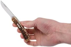 Case Sod Buster Jr Amber Jigged Bone, 00245, 6137 SS Couteau De Poche 19 Case Sod Buster Jr Amber Jigged Bone, 00245, 6137 SS Couteau De Poche -Kai Soldes Boutique CE245 09 case ce245 09