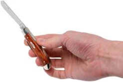 Case Mini Trapper Smooth Chestnut Bone, 28700, 6207 SS Couteau De Poche 19 Case Mini Trapper Smooth Chestnut Bone, 28700, 6207 SS Couteau De Poche -Kai Soldes Boutique CE28700 09 case ce28700 09