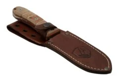 Condor Tactical P.A.S.S. Chute Knife, Couteau Fixe 13 Condor Tactical P.A.S.S. Chute Knife, Couteau Fixe -Kai Soldes Boutique CTK1827 105 4C 06 condor