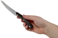 Due Cigni Arne Line Couteau à Steak 11 Cm, Ziricote -Kai Soldes Boutique DG2C900ZW 06 due cigni arne