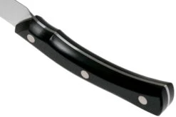 Due Cigni Arne Line Couteau D'office 10 Cm, Noir 11 Due Cigni Arne Line Couteau D'office 10 Cm, Noir -Kai Soldes Boutique DG2C901 04 due cigni arne