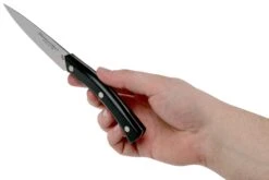 Due Cigni Arne Line Couteau D'office 10 Cm, Noir 13 Due Cigni Arne Line Couteau D'office 10 Cm, Noir -Kai Soldes Boutique DG2C901 06 due cigni arne