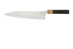 Eden Takara Gyuto 24 Cm, Acier Aogami