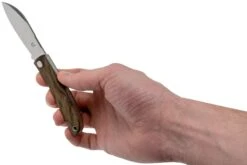 Fox Knives Livri FX-273ZW Zircote Couteau De Poche Slipjoint 18 Fox Knives Livri FX-273ZW Zircote Couteau De Poche Slipjoint -Kai Soldes Boutique FOFX 273ZW 08 fox knives