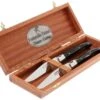 Fontenille Pataud Ensemble De 2 Couteaux à Steak, Corne De Buffle -Kai Soldes Boutique FPLTC2PCN 01 fontenille pataud fpltc2pcn steakmessenset buffel d1