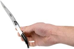 Forge De Laguiole Airbus A350 1211 INAIRBUS Couteau Laguiole -Kai Soldes Boutique LA1211INAIRBUS 07 forge de laguiole