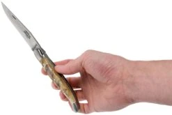 Forge De Laguiole 12 Cm 1212INBESAT Corne De Bélier, Couteau Laguiole -Kai Soldes Boutique LA1212INBESAT 08 forge de laguiole