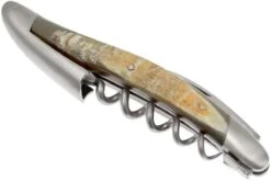 Forge De Laguiole SOM1CASAT, Couteau Sommelier Matifié, Corne D'Aubrac