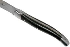 Forge De Laguiole, LAT22MINEB, Set De Couteaux à Steak, 2 Pièces, ébène Mat 12 Forge De Laguiole, LAT22MINEB, Set De Couteaux à Steak, 2 Pièces, ébène Mat -Kai Soldes Boutique LAT22MINEB 05 forge de laguiole
