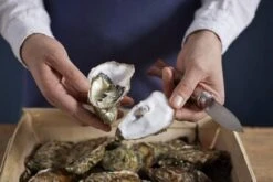 Couteau à Huîtres Opinel N°09 15 Couteau à Huîtres Opinel N°09 -Kai Soldes Boutique OP001616 07 opinel oestermes op001616 08