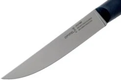 Opinel Intempora Couteau à Viande No. 220, 16 Cm 11 Opinel Intempora Couteau à Viande No. 220, 16 Cm -Kai Soldes Boutique OP002220 03 opinel intempora