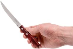 Tramontina Churrasco Set De 12 Couverts à Steak, 29899-219 -Kai Soldes Boutique TC29899 219 04 tramontina churasso tc29899 219 04