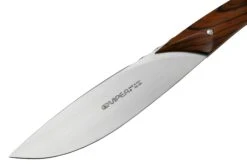 Viper Fiorentina VT7500-02CB Bois De Cocobolo, Set De 2 Couteaux à Steak -Kai Soldes Boutique VPVT7500 02CB 03 viper
