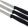 Victorinox SwissClassic Couteaux à Légumes Noir, Set De 3, 6.7113.3 1 Victorinox SwissClassic Couteaux à Légumes Noir, Set De 3, 6.7113.3 -Kai Soldes Boutique VT6 7113 3 01 victorinox groentemesset vt6 7113 3 01