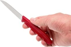 Victorinox SwissClassic Couteaux à Légumes, Ensemble De 3, 6.7116.32 -Kai Soldes Boutique VT6 7116 32 05 victorinox vt6 7116 32 05