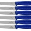 Victorinox SwissClassic 6.7232.6, Set De 6 Couteaux à Steak, Bleu -Kai Soldes Boutique VT6 7232 6 01 victorinox