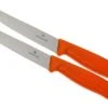 Victorinox SwissClassic Couteaux à Steak/pizza Orange Set De 2 6.7936.12L9B 2 Victorinox SwissClassic Couteaux à Steak/pizza Orange Set De 2 6.7936.12L9B -Kai Soldes Boutique VT6 7936 12L9B 01 victorinox steakmes oranje vt vt6 7936 12l9b 01