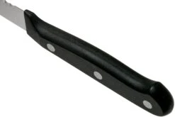 Wüsthof Gourmet Couteau à Tomates 12 Cm, 1025048012 -Kai Soldes Boutique WU1025048012 04 wusthof v202101